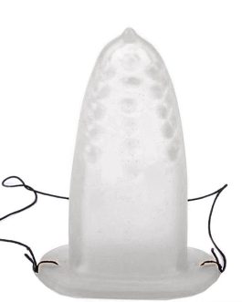 CAPA DE LINGUA TRANSPARENTE