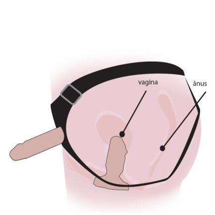 KIT CINTA COM PROTESE ENTRA E SAI - Imagem 2